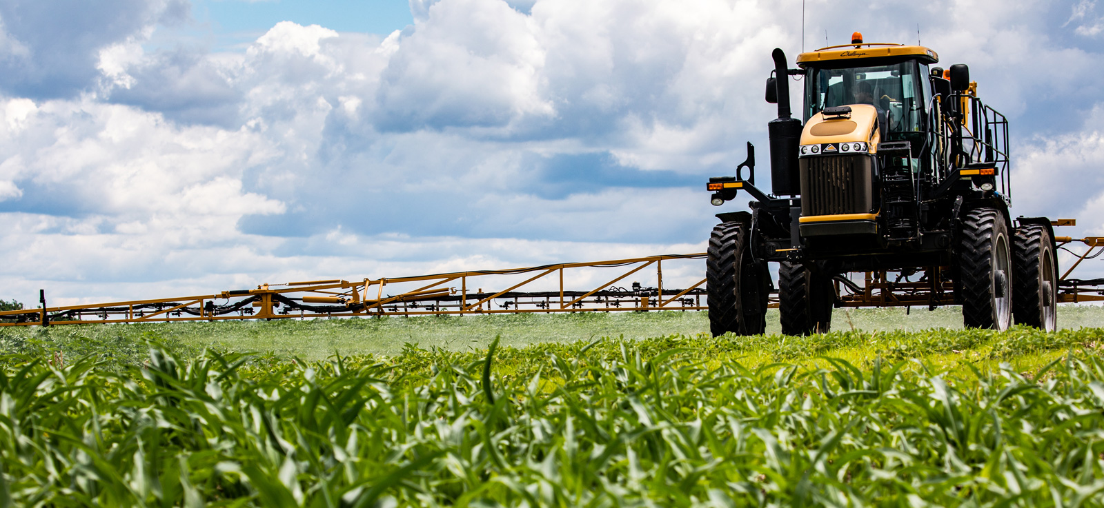 Sprayer in a young soybean field