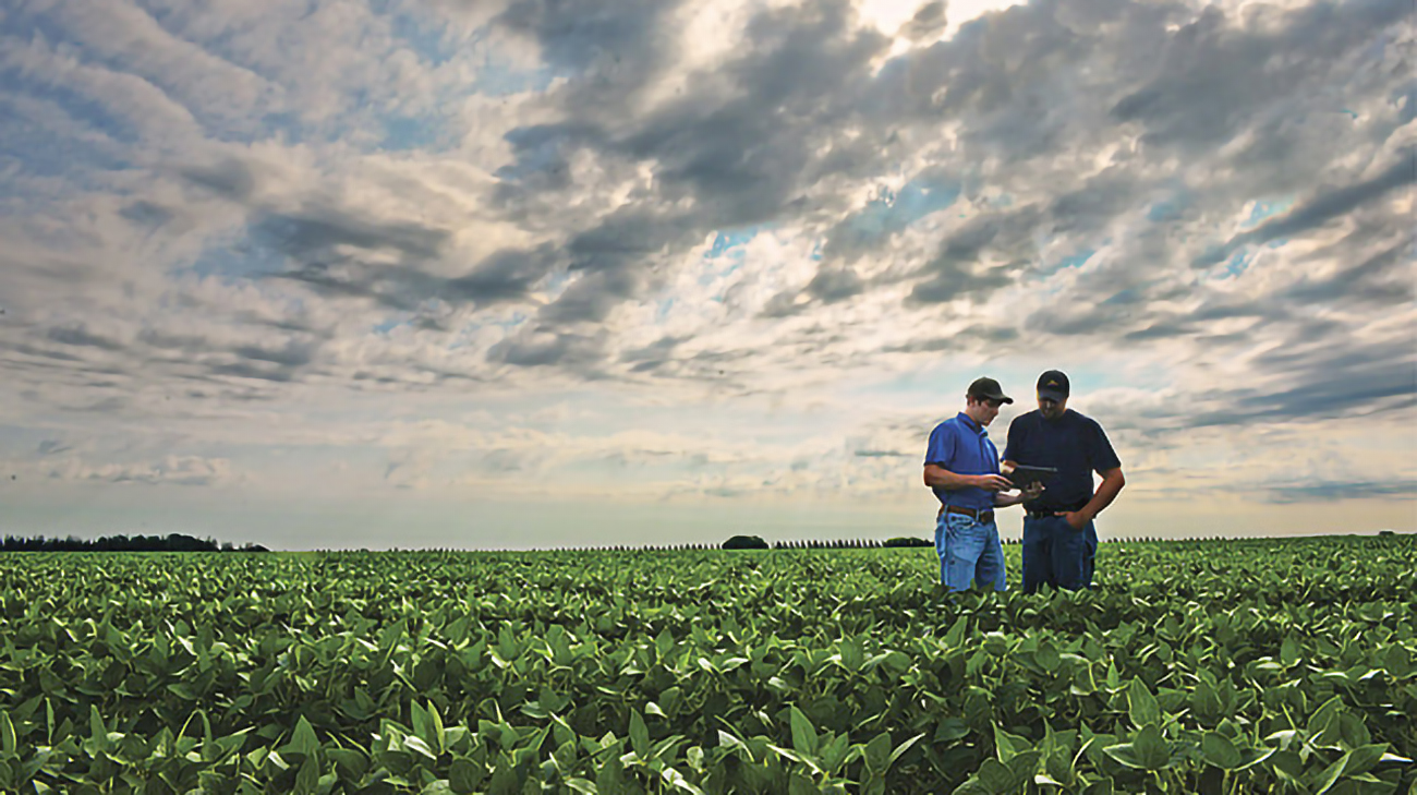 Two men standing in a young soybean field looking at a tablet under a cloudy sky