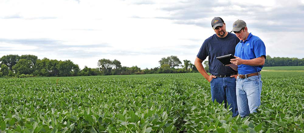 Unveiling the Power of CHS Grain Bids: How Fairmont, MN's Agricultural Hub Impacts the Grain Market