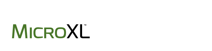 CHS MicroXL logo