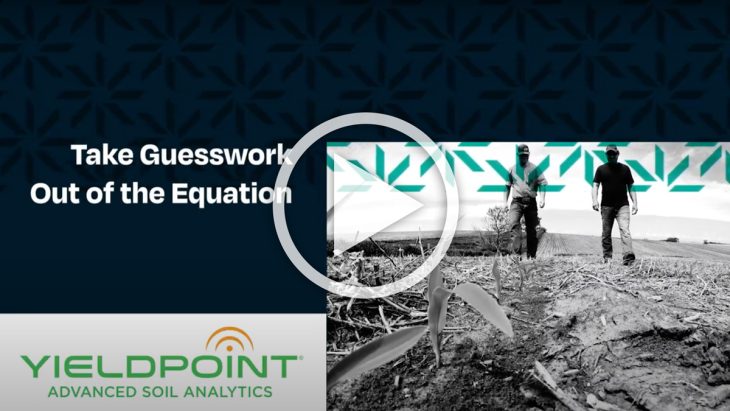 Screenshot of Yieldpoint video
